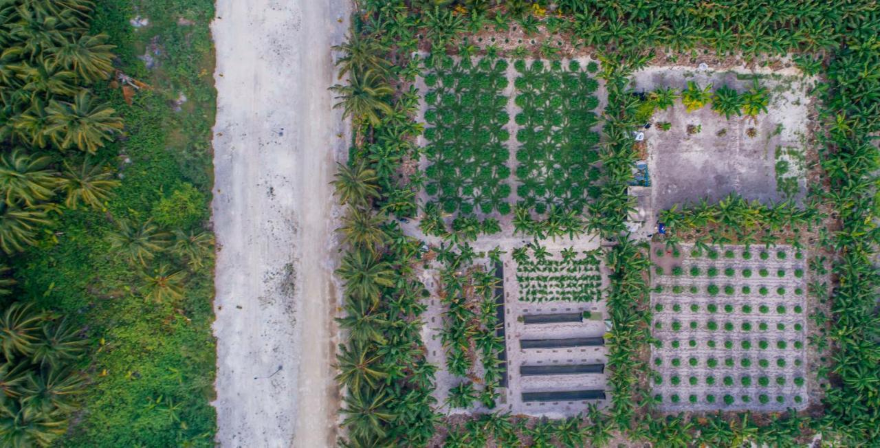 Kaashidhoo Sunview Residence מראה חיצוני תמונה